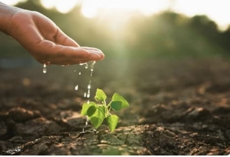 Asesoría técnica en campo